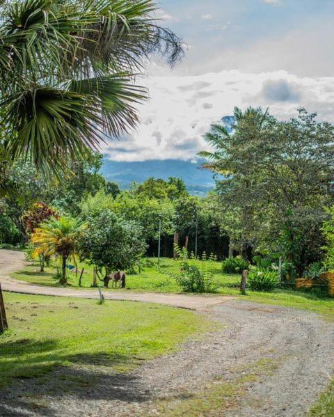 Linda Casa De Verano Con Amplias Zonas Verdes San Isidro De El General Bagian luar foto