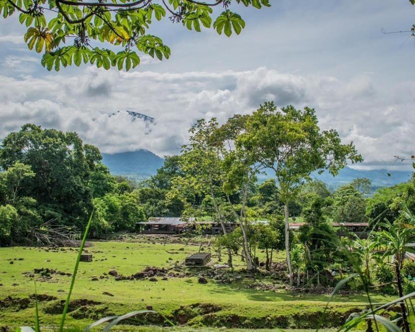 Linda Casa De Verano Con Amplias Zonas Verdes San Isidro De El General Bagian luar foto