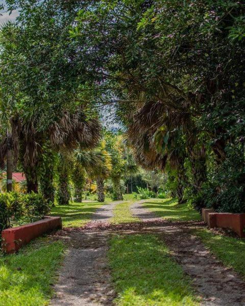 Linda Casa De Verano Con Amplias Zonas Verdes San Isidro De El General Bagian luar foto
